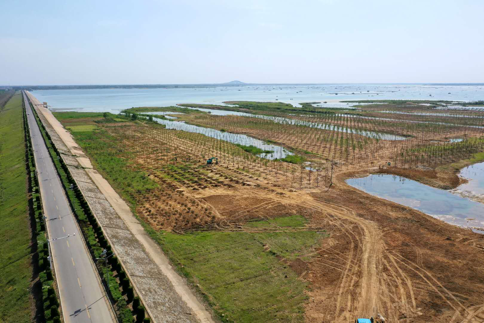 石梁河水库生态修复工程裸露滩涂披新装